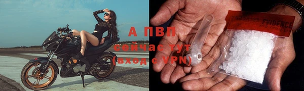 стаф Горно-Алтайск