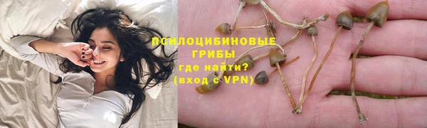 спиды Горнозаводск