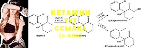 стафф Сосновоборск