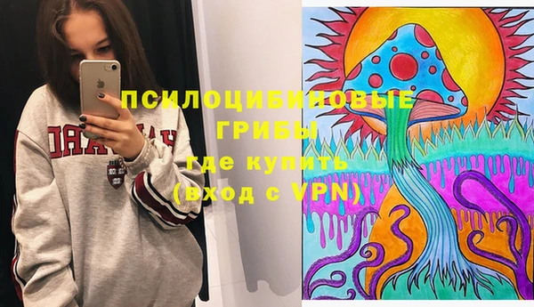 спиды Горнозаводск