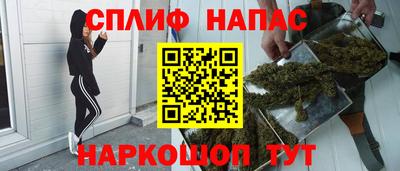 СК Будённовск