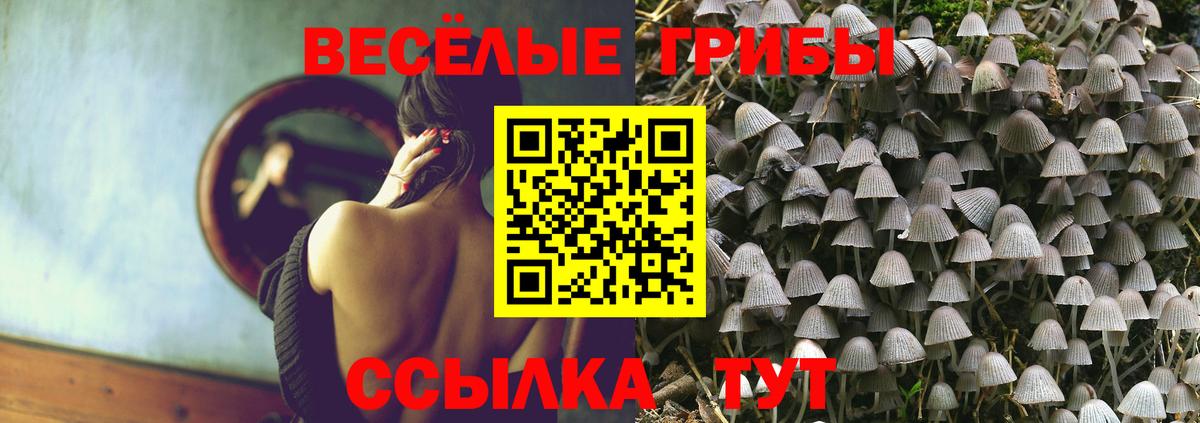 Псилоцибиновые грибы Psilocybe  Вход с VPN  Тобольск 